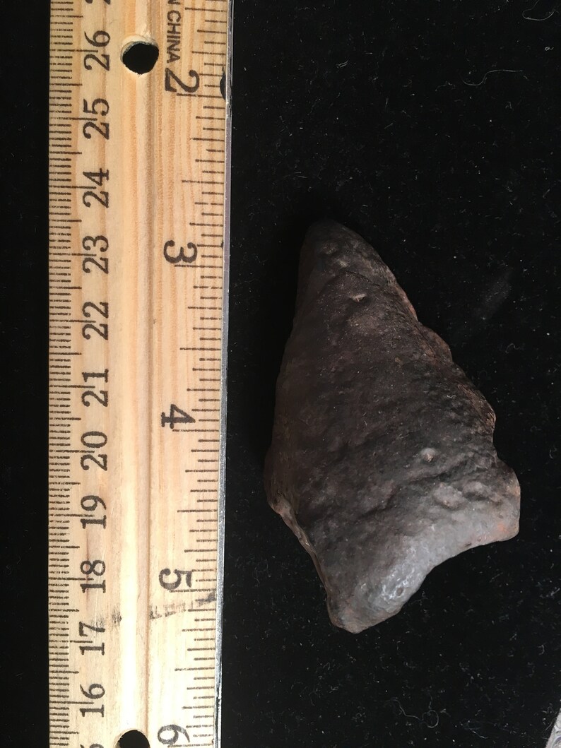 Genuine Extinct MASTADON molar section