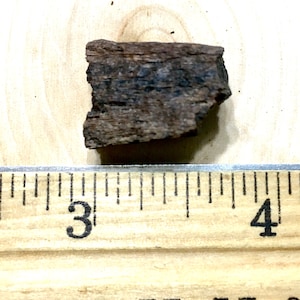 Cretaceous Dinosaur Bone - Judith River Formation