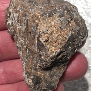 Nice Cretaceous Theropod Dinosaur Bone - Hell Creek