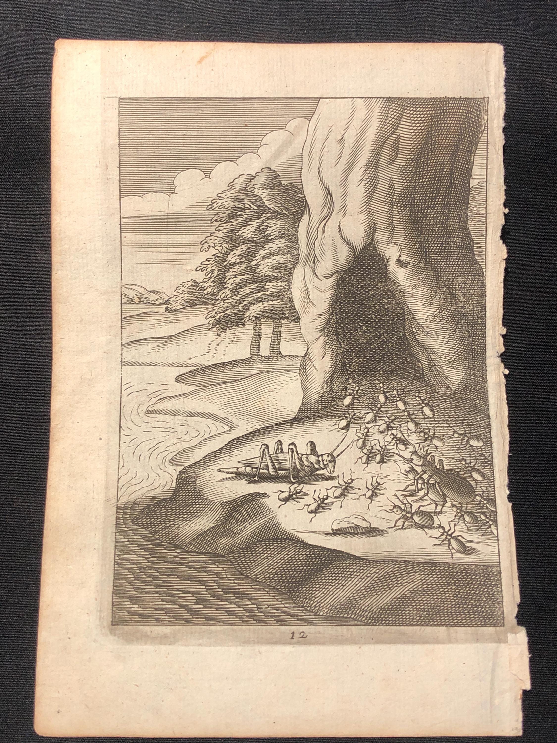 1675 3x Leaves from Aesops Fables, The Ant and the Grasshopper