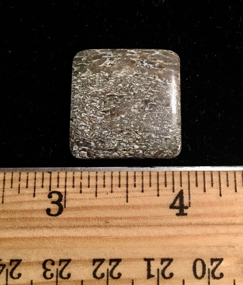 Genuine Dinosaur Bone Fossil Cabochon