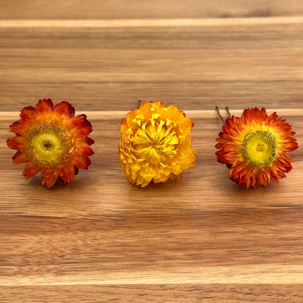 Dried Yellow and Orange Flower Hair Pins, Dried Yellow Orange Daisy Mums, Preserved Flower Hair Pins, Dried Floral Bobby Pins, Set of 3