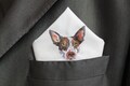 Mens Personalized Cotton Embroidered Pocket Square, Wedding Day Gift to Bride or Father of the Groom from your Dog,Pet Portrait Handkerchief product logo