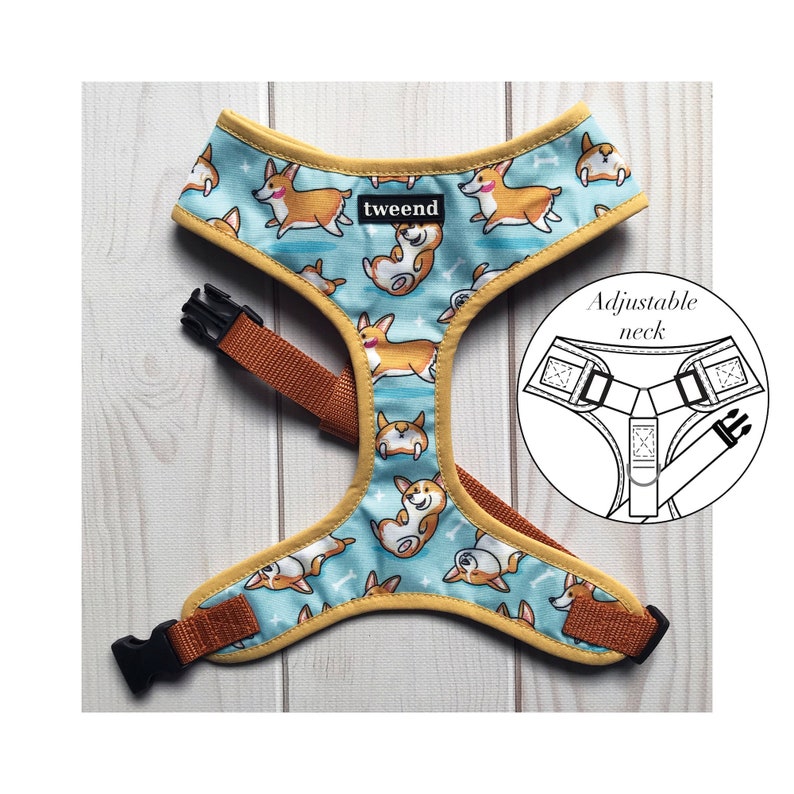 harness for corgis