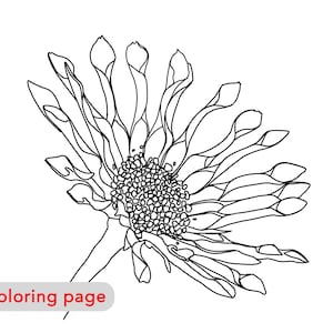 Coloring page flower, floral portrait, Digital download, fashion illustration, premium coloring page