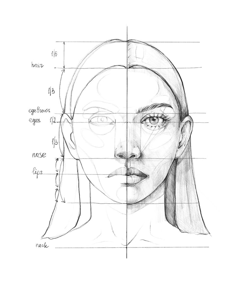 May include: A pencil drawing of a woman's face with a grid overlay. The grid is divided into sections labeled "hair", "eyebrows", "eyes", "nose", "lips", and "neck".