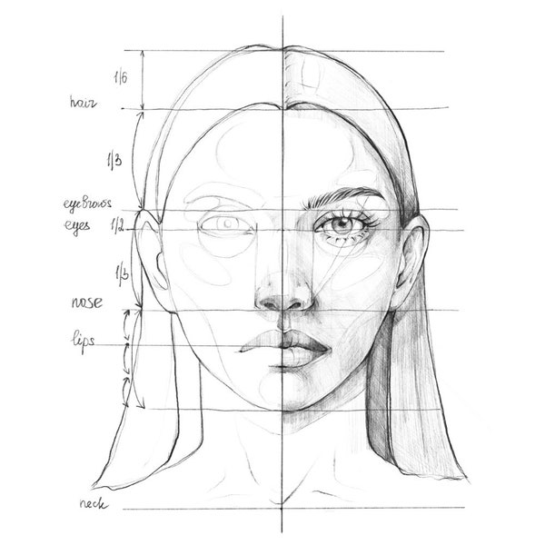 Colouring pages, Easy TUTORIALS how to draw woman portrait, face proportions, face chart for artist and designers with explanations