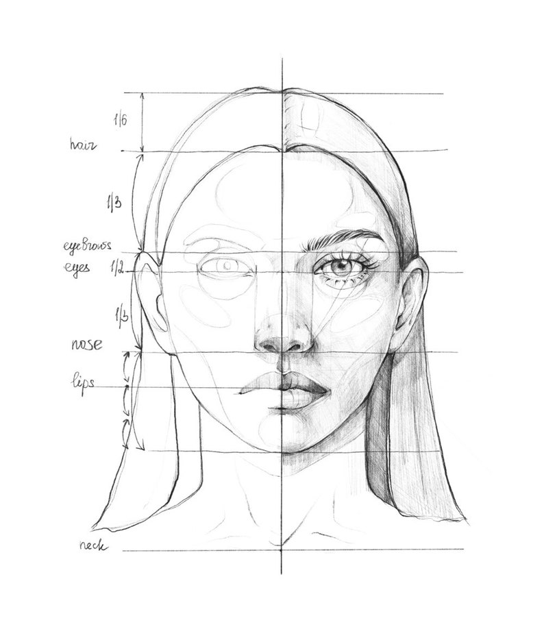 May include: A pencil drawing of a woman's face with a grid overlay. The grid is divided into sections labeled "hair", "eyebrows", "eyes", "nose", "lips", and "neck".