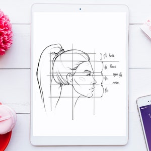 May include: A digital drawing of a woman's face in profile, with a ponytail, on a white tablet. The drawing is divided into sections with handwritten notes indicating the proportions of the face, such as "1/2 hair", "1/2 brows", "1/3 eye/eye line", "1/3 nose", and "1/3 chin".