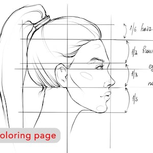 プレミアムぬりえページ - 女性の体の顔の比率 - 大人のぬりえページを印刷可能、ファッションガールのイラストスケッチ、デジタルアートのダウンロード