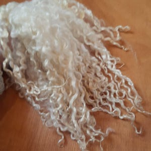 Teeswater Locken, 20-30 cm lang, Natur, zum Spinnen, Filzen, für Puppenhaarfrisuren und anderes Kunsthandwerk.  15g übrig