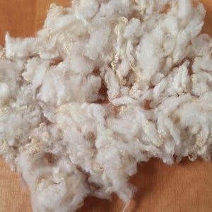May include: A close-up of a pile of raw, undyed wool. The fibres are a creamy off-white colour and appear soft and fluffy. The texture is slightly crimped, indicating it's suitable for spinning or felting. The wool is likely for craft projects.