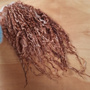 Teeswater locks 28-36cm, Mixed Brown, for spinning, felting, dolls hair and other crafts. 10g and 20g bundles