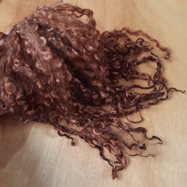 Teeswater locks 21-34cm long in Tawny Brown, for spinning, felting, dolls hair and other crafts. 10g and 20g bundles