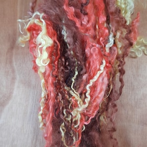 Teeswater locks 15-30cm long, in MIxed colours for spinning, felting, dolls hair and other crafts. 35g only