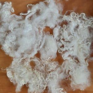 May include: Close-up of a pile of white, fluffy wool fibers. The fibers have a crimped, curly texture, and appear soft and lightweight. The wool is likely used for crafting, spinning, or felting projects.