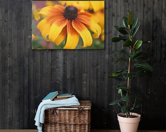 Gele bloemen canvas muurkunst-Rudbeckia hirta Gloriosa madeliefjebloem fotografie natuur, wanddecoratie, slaapkamer foto's, cottage decor, kunst