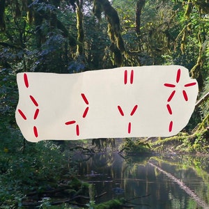 May include: A cream-colored, irregularly shaped paper with red markings against a backdrop of a lush forest and a calm body of water. The red markings are in various geometric patterns.
