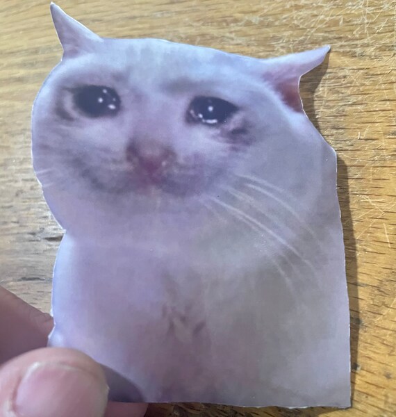 Autocollant De Meme De Chat Qui Pleure Etsy France