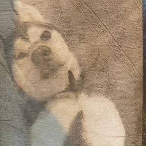 May include: A close-up of a white dog with its head tilted up, looking at the camera. The dog is sitting on a textured surface.