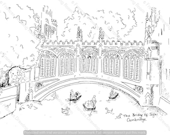 Cambridge Bridge of Sighs Postcard, Line Drawing Illustration, Black & White