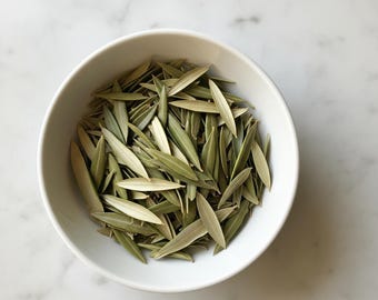 Organic Dried Olive Leaf Tea: Immune Support & Spiritual Herb