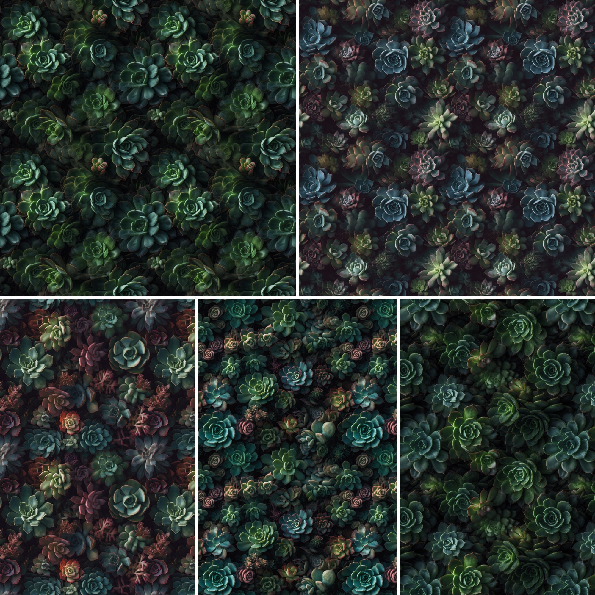 10 Realistic Dark Green Succulents Seamless