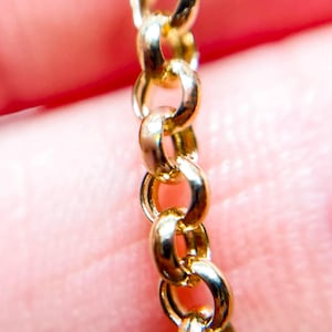 Large Alexa Chain With Small Swivel | Solid 14k Gold 4mm Belcher Rolo