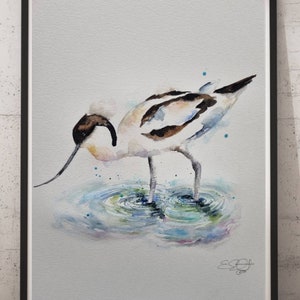 Avocet Bird Watercolor Painting: Signed Original Wildlife Art (16x12)