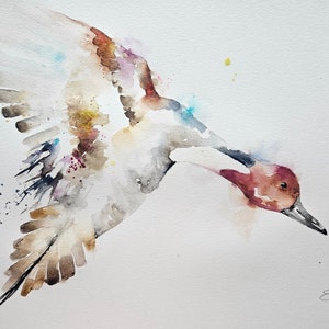 Original painting, watercolour painting, watercolour art, art for a wall, painting, elle smith art, bird painting, pintail duck, duck, art