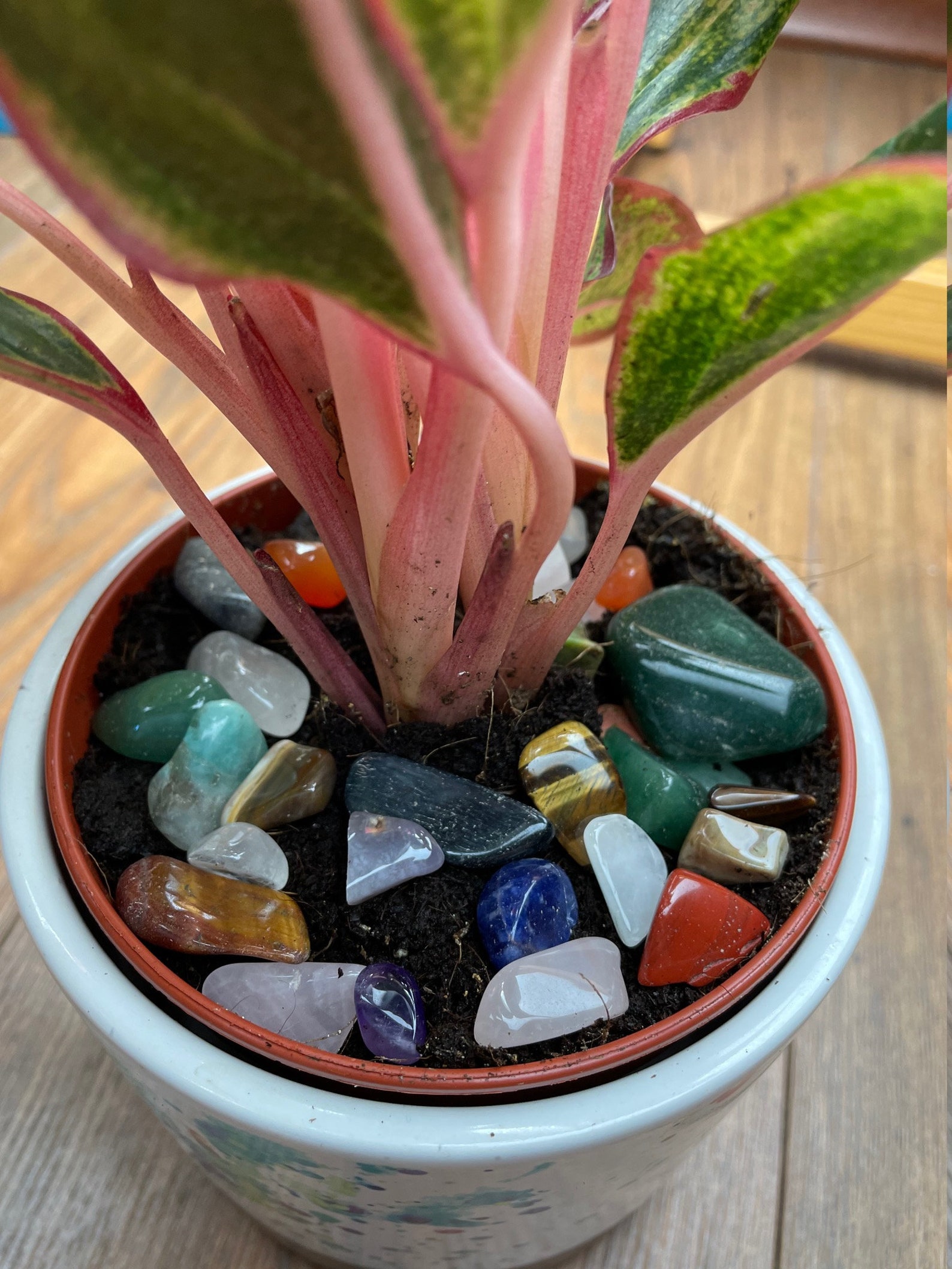 Crystal Set for Plants Vibrant Energy Crystals Mix Mixed Etsy