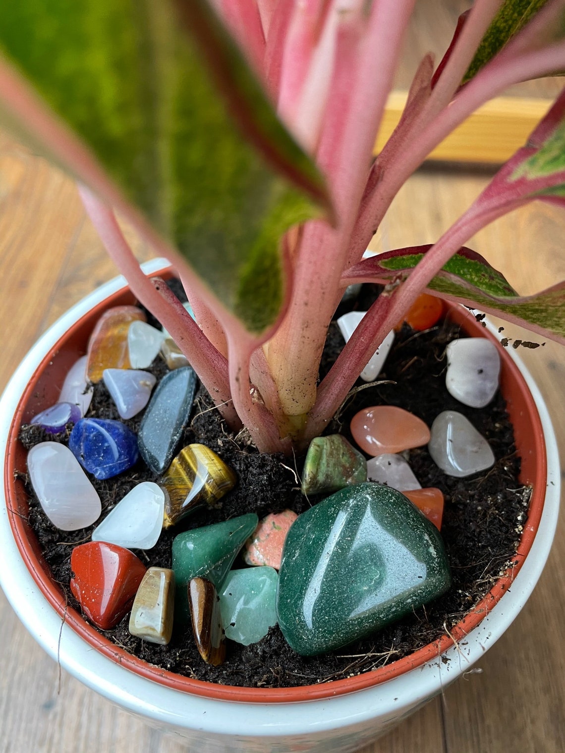 Crystal Set for Plants Vibrant Energy Crystals Mix Mixed Etsy