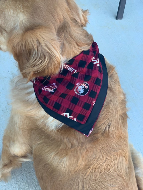 fsu dog sweater