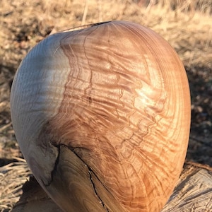 Handturned Figured Olive Ash Hollowform