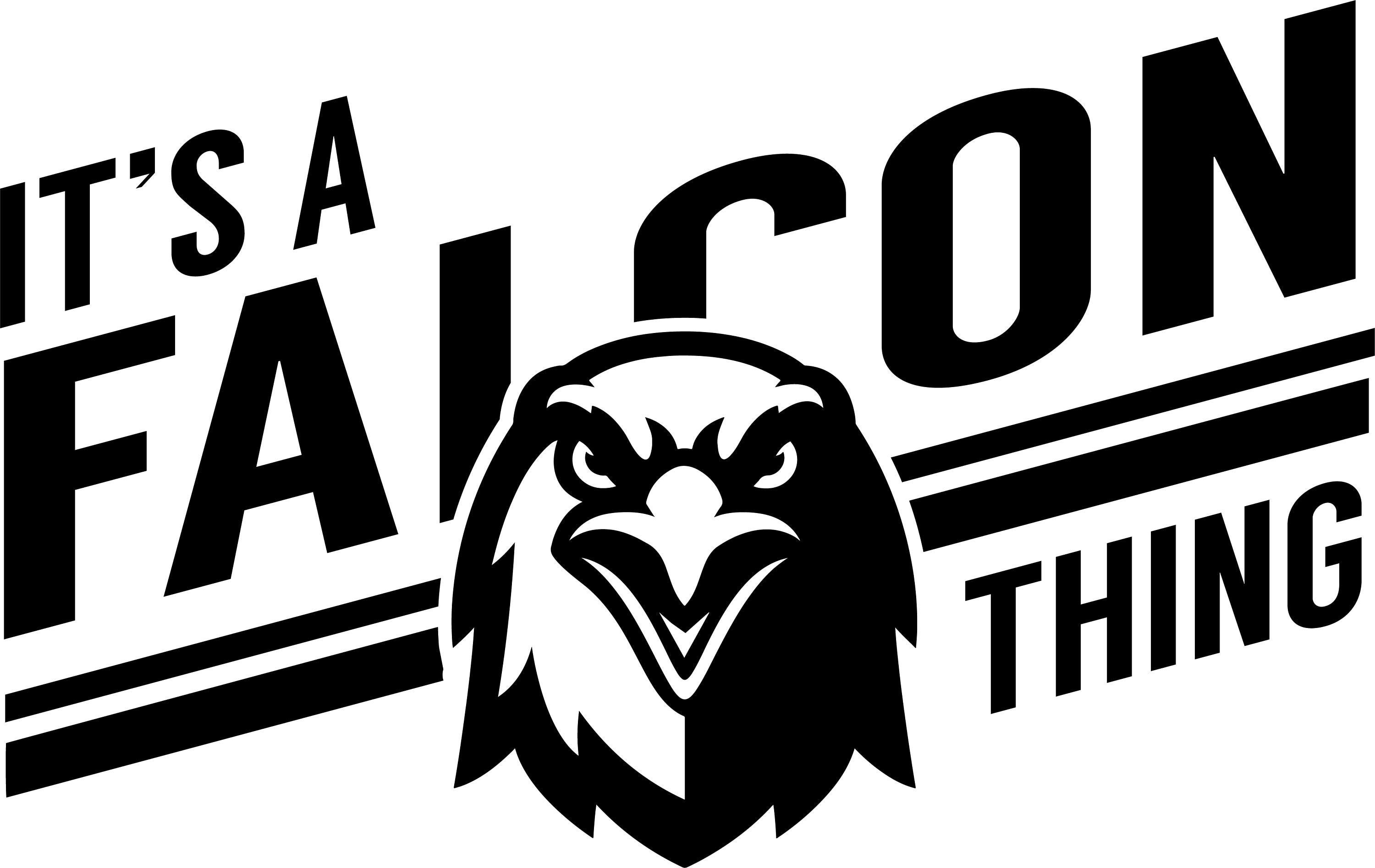 Falcon SVG Falcon Mascot Sports SVG High School Mascot Etsy