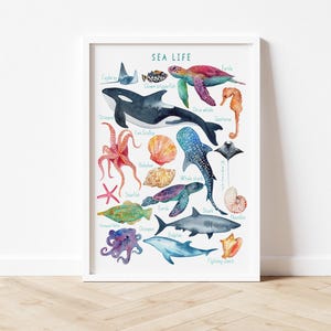 Sea life Print, Nursery Ocean decor, Ocean Animals Poster, Nursery Wall Art, Children's Wall Art Print, Kids Posters, Nursery Art image 5
