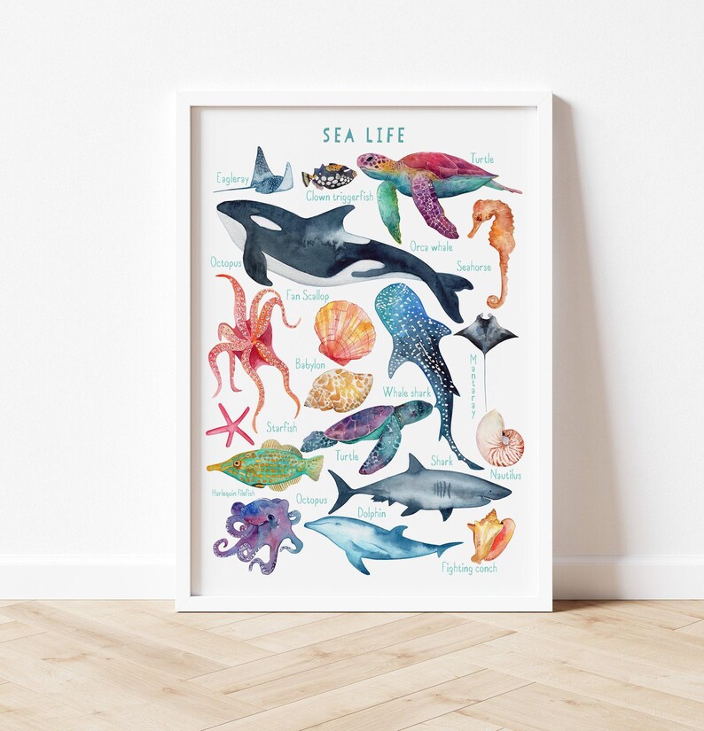 Sea life Print, Nursery Ocean decor, Ocean Animals Poster, Nursery Wall Art, Children's Wall Art Print, Kids Posters, Nursery Art image 5