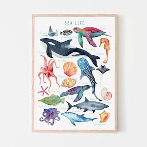 Sea life Print, Nursery Ocean decor, Ocean Animals Poster, Nursery Wall Art, Children's Wall Art Print, Kids Posters, Nursery Art image 7