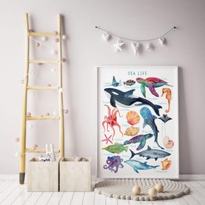 Sea life Print, Nursery Ocean decor, Ocean Animals Poster, Nursery Wall Art, Children's Wall Art Print, Kids Posters, Nursery Art image 4