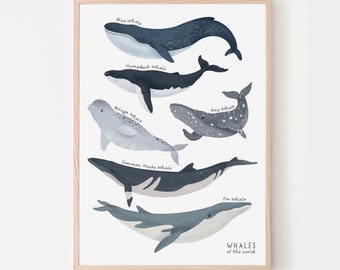 Impression d’espèces de baleines, Art de la digue de l’océan, Affiche de créatures marines, Art mural imprimable, Art mural de pépinière, Décoration murale de chambre à coucher, Art imprimable pour enfants