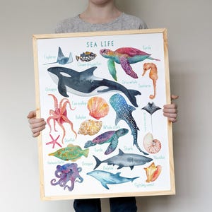 Sea life Print, Nursery Ocean decor, Ocean Animals Poster, Nursery Wall Art, Children's Wall Art Print, Kids Posters, Nursery Art image 1