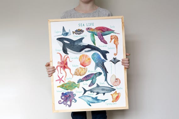 Sea life Print, Nursery Ocean decor, Ocean Animals Poster, Nursery Wall Art, Children's Wall Art Print, Kids Posters, Nursery Art