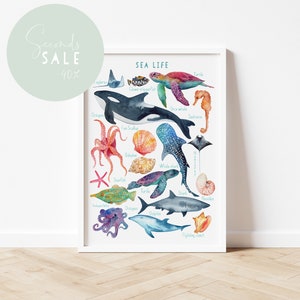 UK only, SECONDS SALE, Sea life Print, Nursery Ocean decor, Ocean Animals Poster, Nursery Wall Art, Children's Wall Art Print