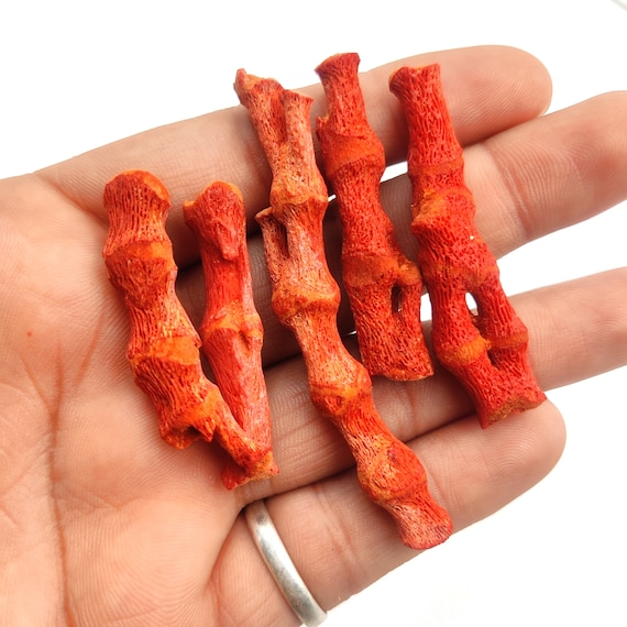 Buy Natural Red Coral Raw Stone, 5 Piece Lots Coral Raw Healing Crystal  Raw,1,1.52,2.53.5,44.5 Inches Size Available Online in India 