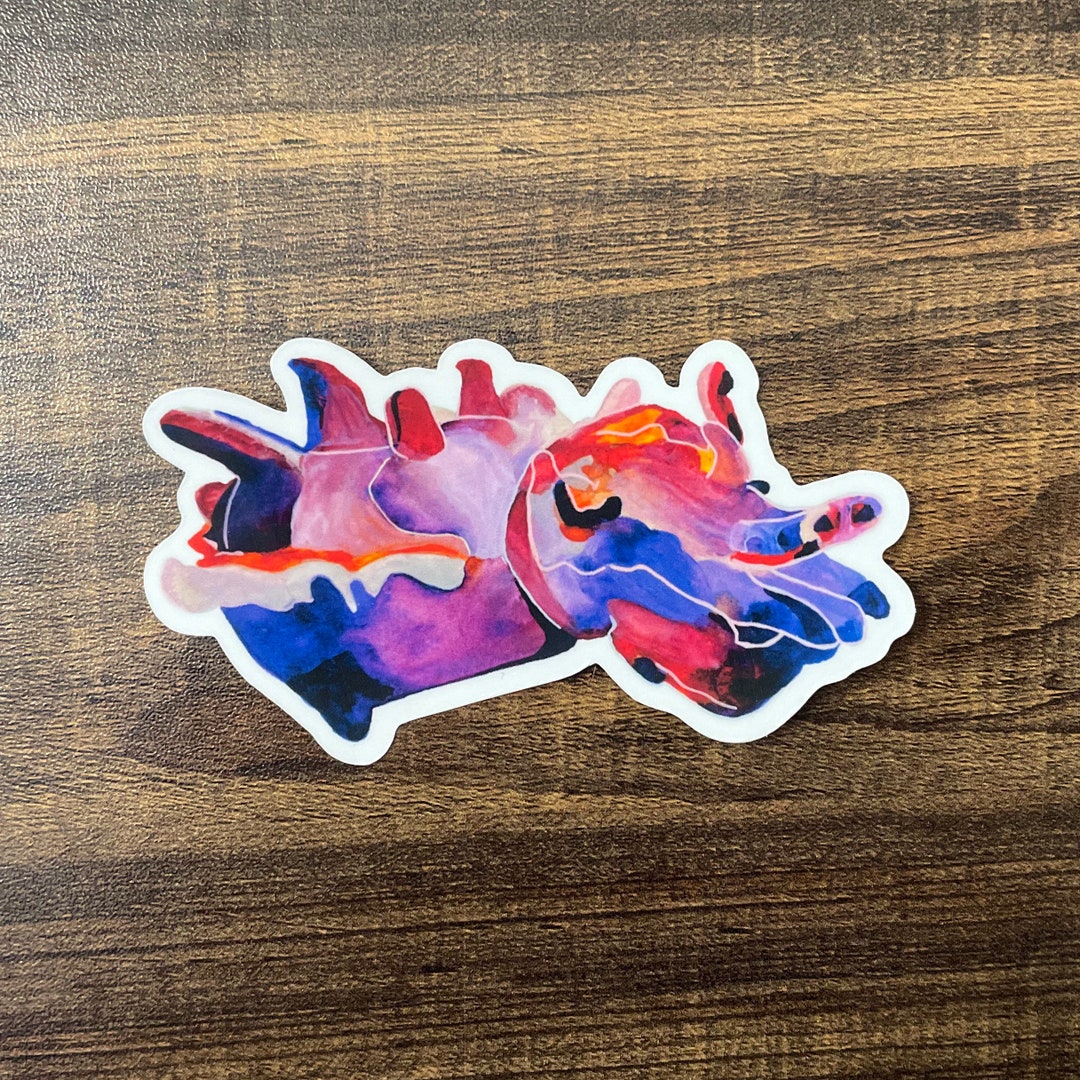 Flamboyant Cuttlefish Sticker - Etsy