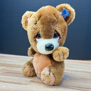 May include: A brown plush teddy bear with a light brown belly and a black nose. The bear has a sad expression with large, dark eyes. It has a blue tag on its ear.