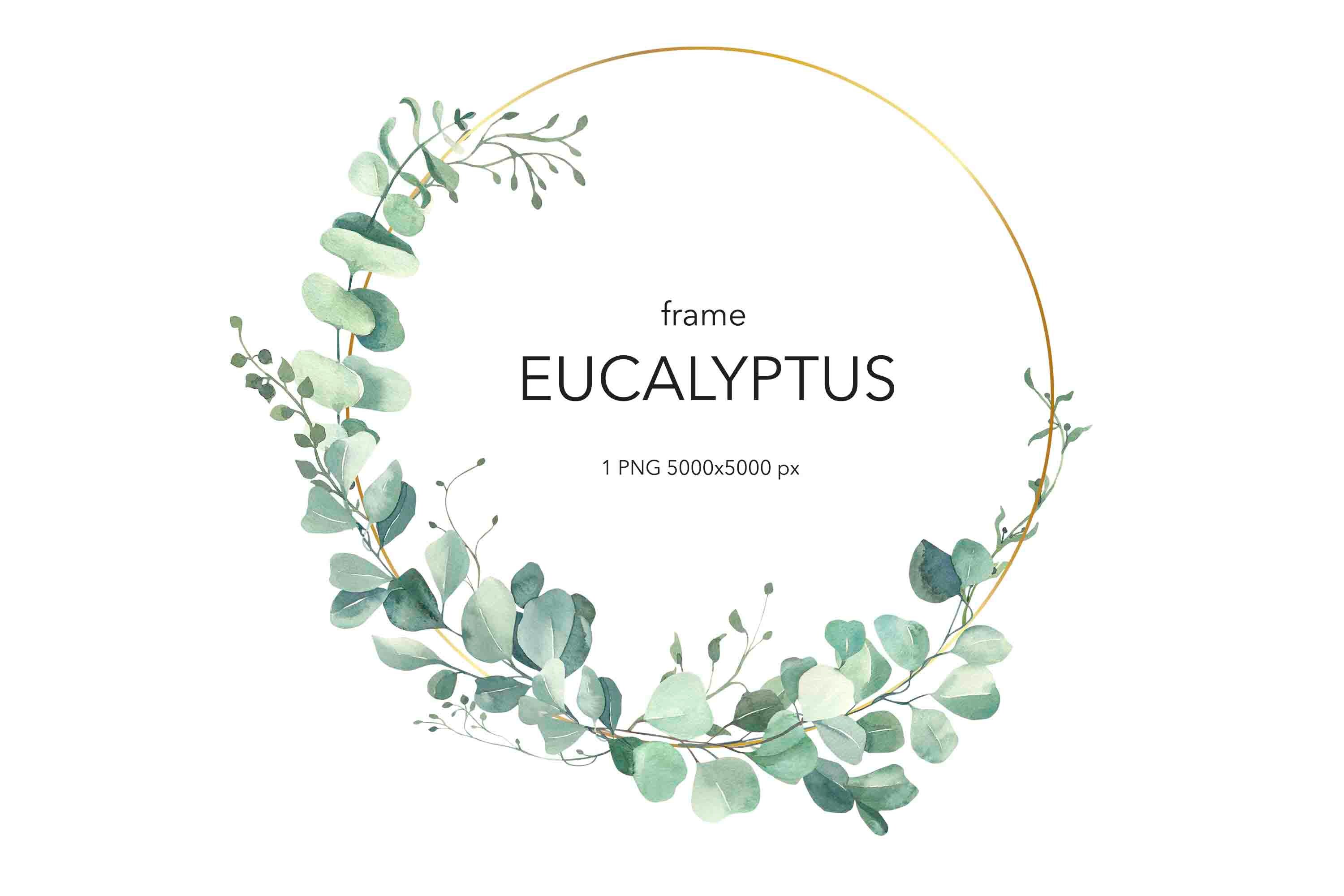 Watercolor Eucalyptus Wreath Clipart. 