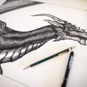 Black  Dragon