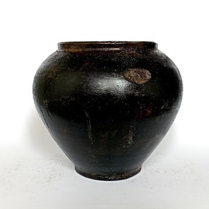 May include: A dark brown, antique-style ceramic pot with a rounded body and a slightly flared rim. The pot has a textured surface and a small, lighter-colored patch on the side. The overall appearance suggests a rustic or vintage aesthetic.