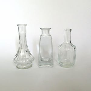 Set of 3 vintage mini glass vases, clear glass with elegant shapes, perfect minimalist gift for flower lovers.